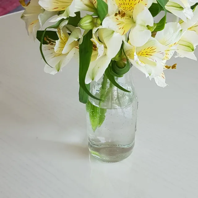 지디