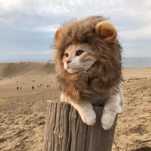 뚝다