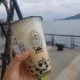 오인삼주