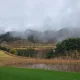 차니빠