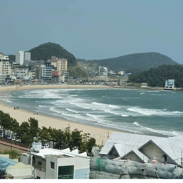영종도당근비움