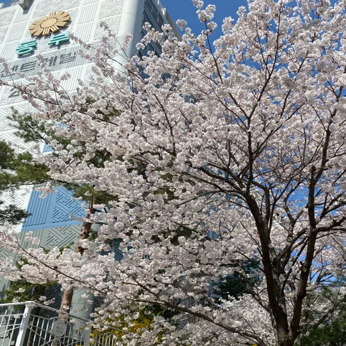 당근동자