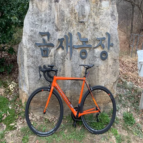 타돼지포가챠