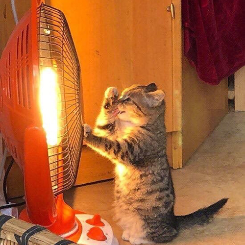 얍얍