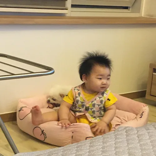 로아파파