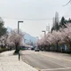 트윙클
