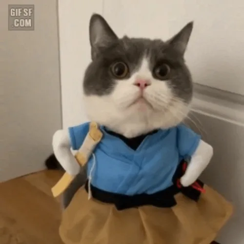 정마담
