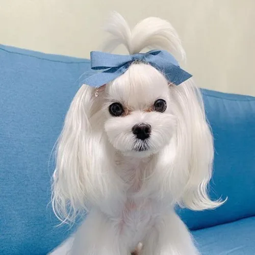 솔이엄마