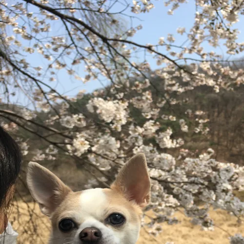 아띠Artty