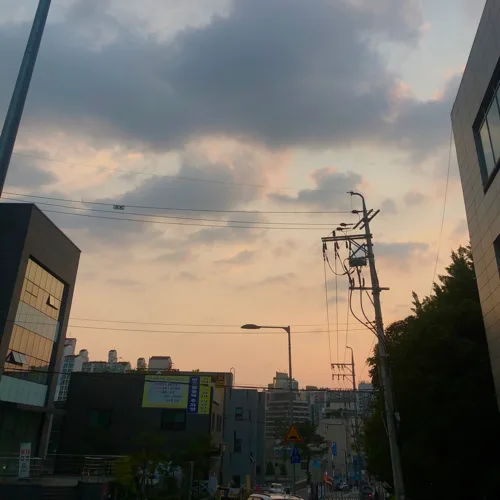 도자