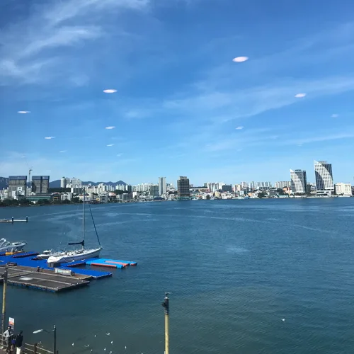 민트샤벳