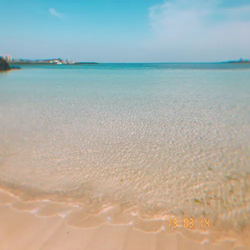 오젤