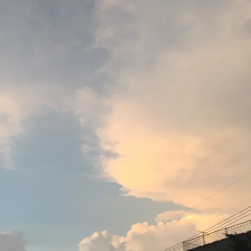 김작가