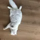 막둥