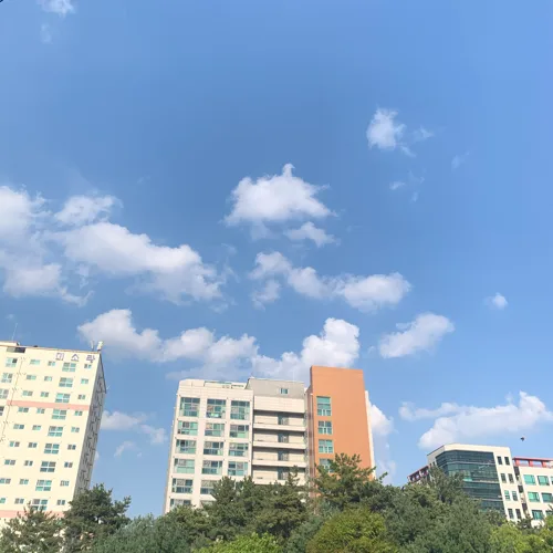 포도왕