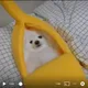 김광석팬