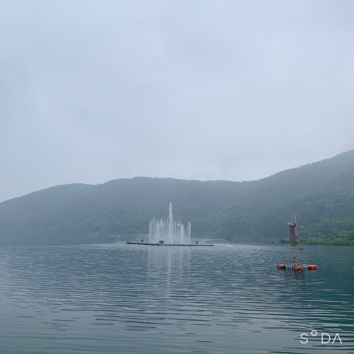 초보줌마