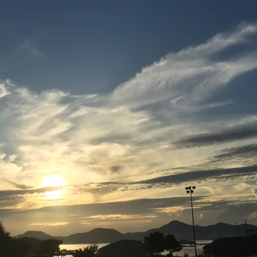 정리중입니다