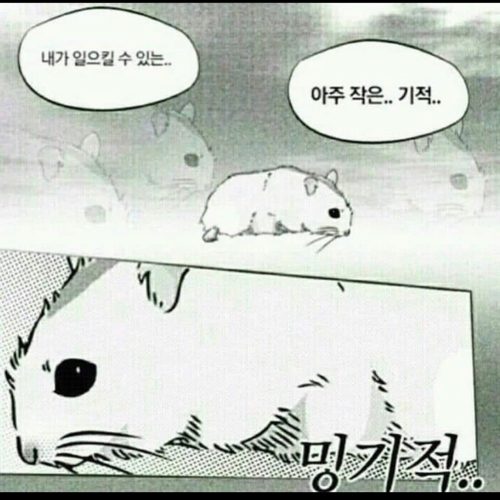 리뷰 프로필 이미지