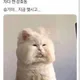 가나다라마바자