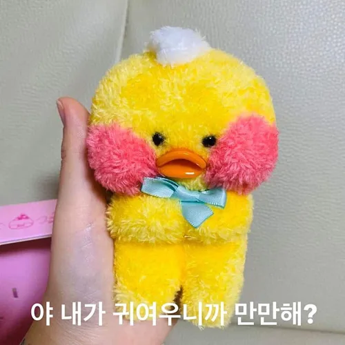삐이