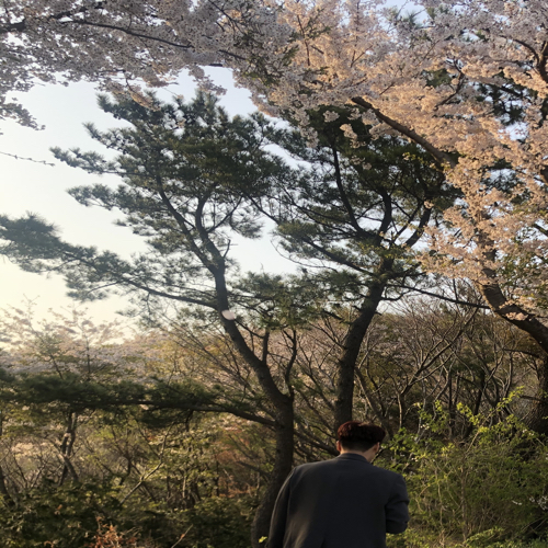 김상