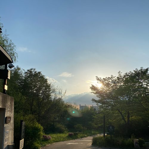 솔별마미