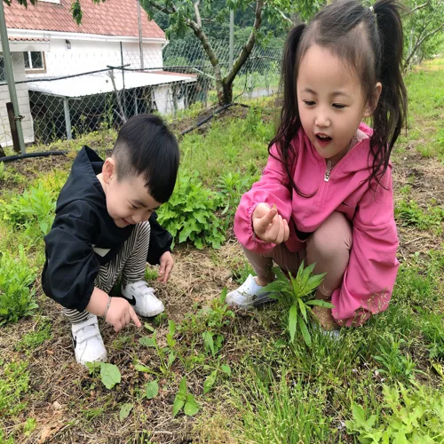 윤블리네