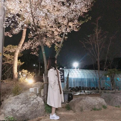 아이러브독