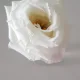 우아