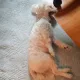 윤승재