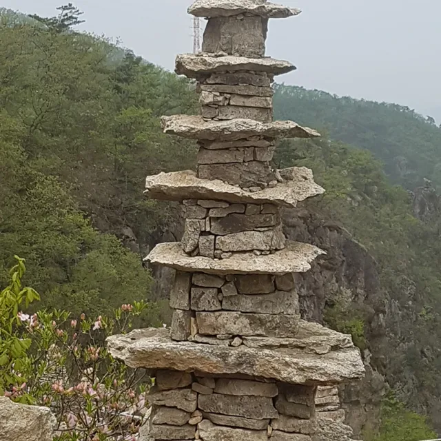 CHA