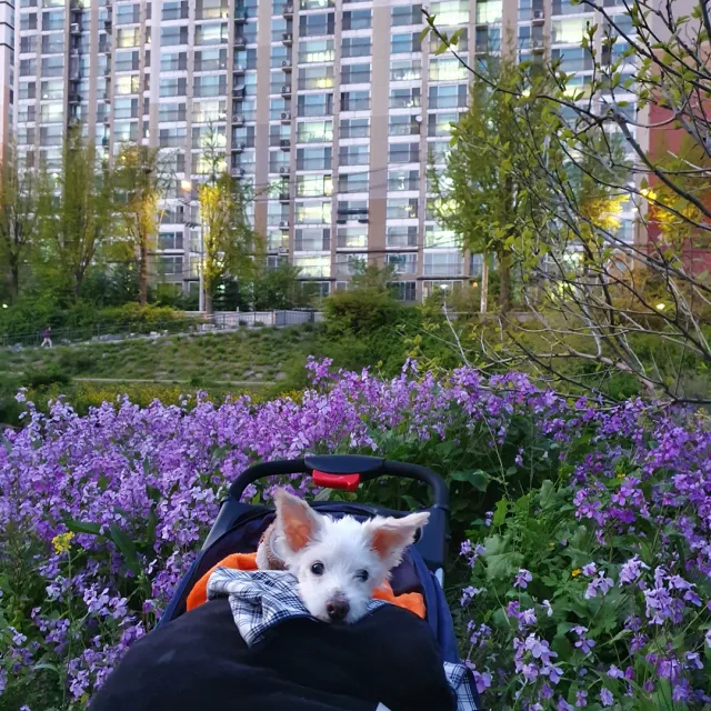 뽀롱사랑