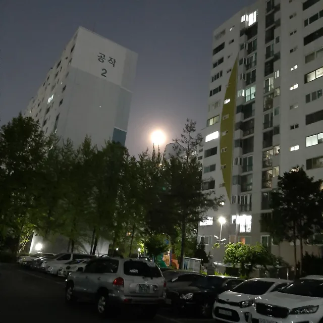 커피콩