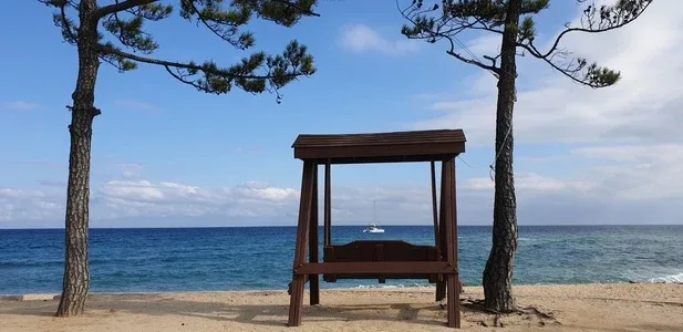 어화둥둥