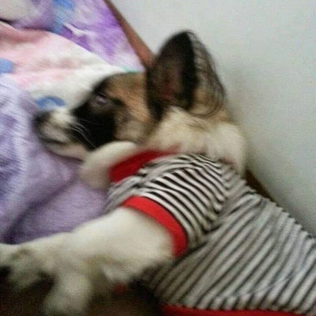 가난한사람2
