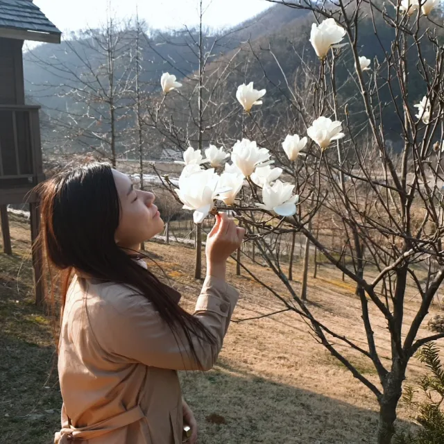킁킁