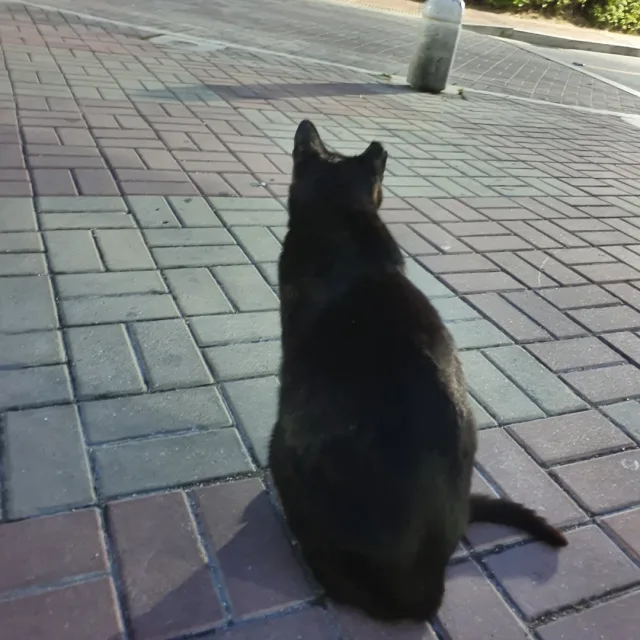 profile