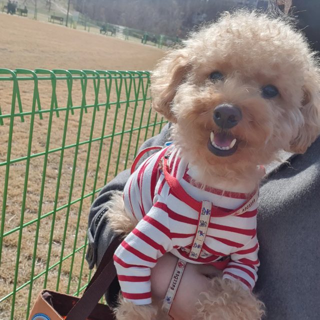 peanut