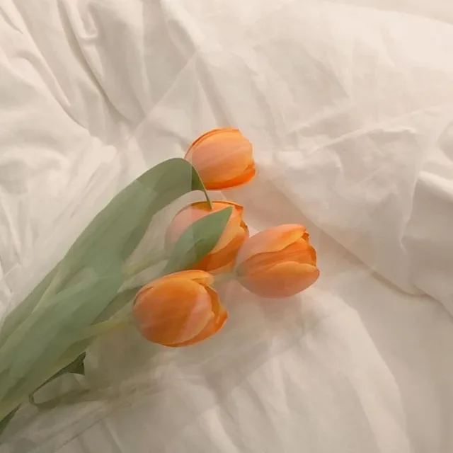 hygge