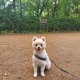 빵꾸