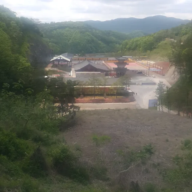 갈매기