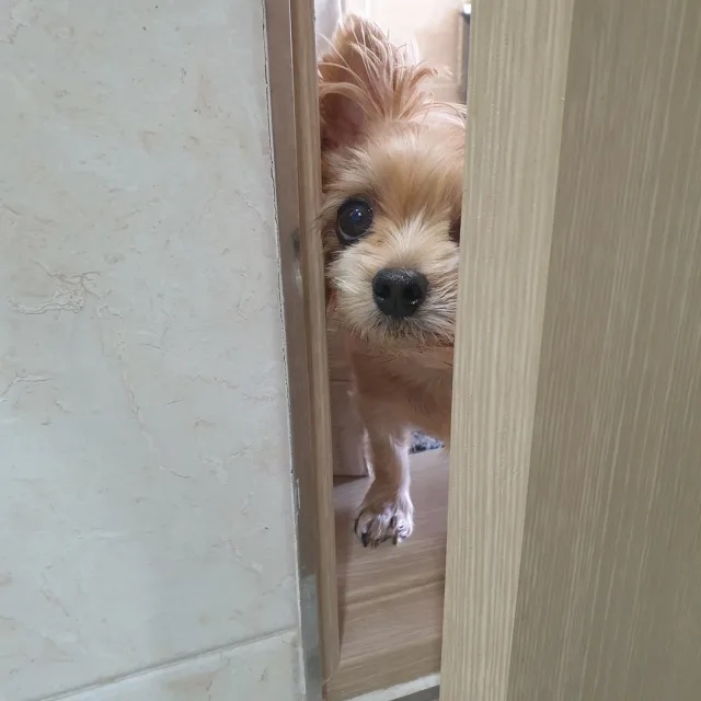 여행바라기