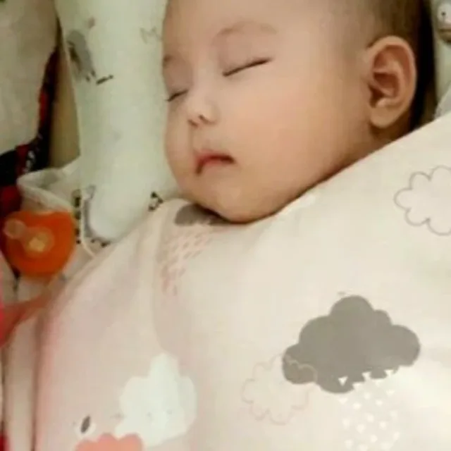 호돌님