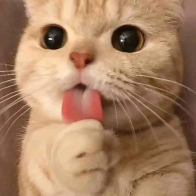 다꾸