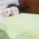 나나오빠