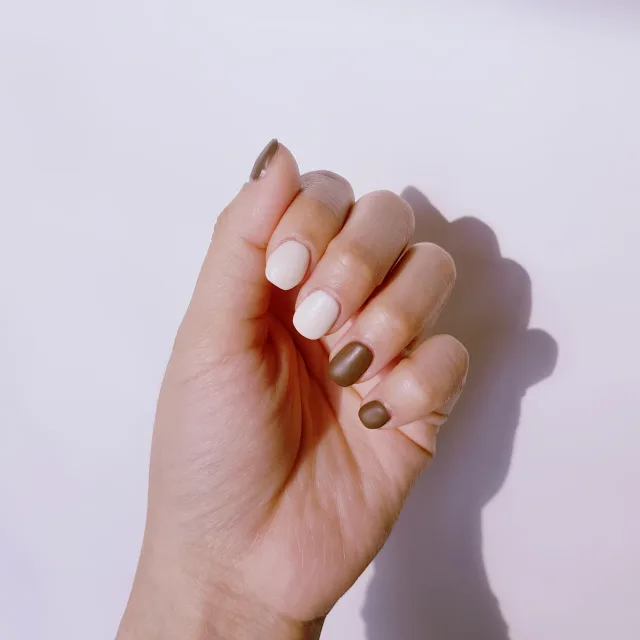 쑹쑹