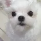 두부엄마