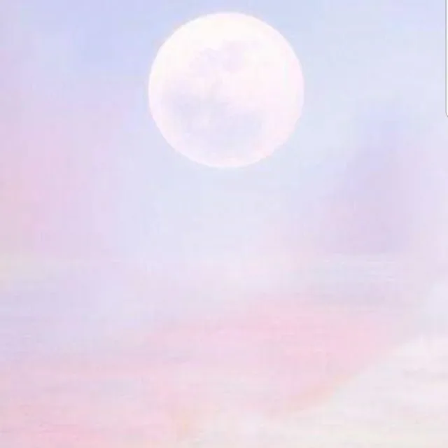 연보라