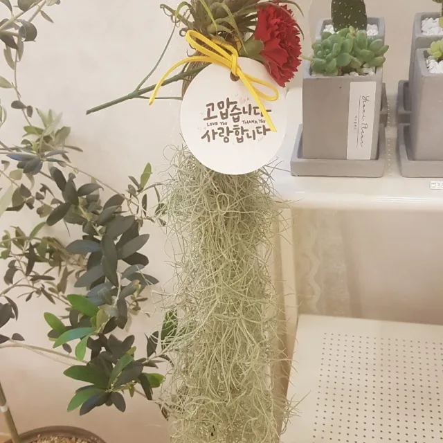 똑순이